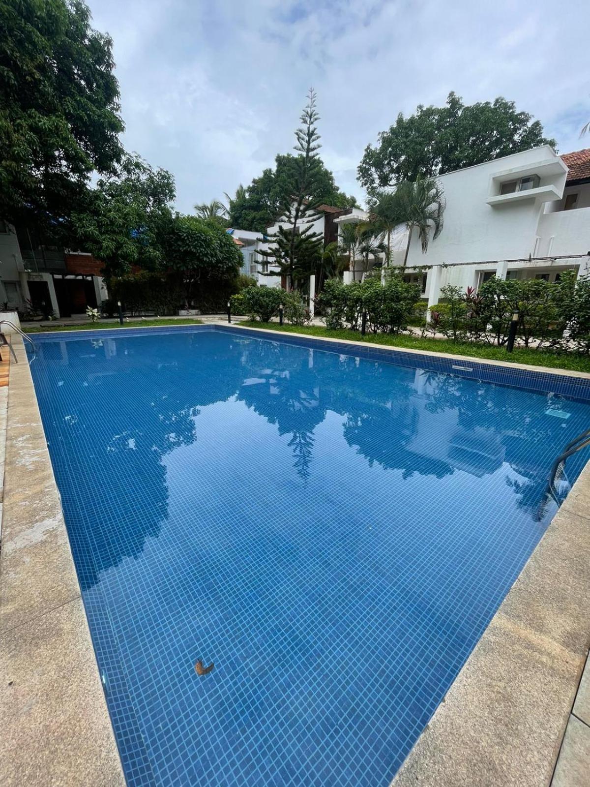 Villa M - Solitude 2 Candolim Goa 3Bhk, Pool Facing, Near Beach, Free Breakfast, Free Wifi And Prime Location Dış mekan fotoğraf